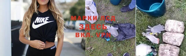 прущие грибы Нязепетровск
