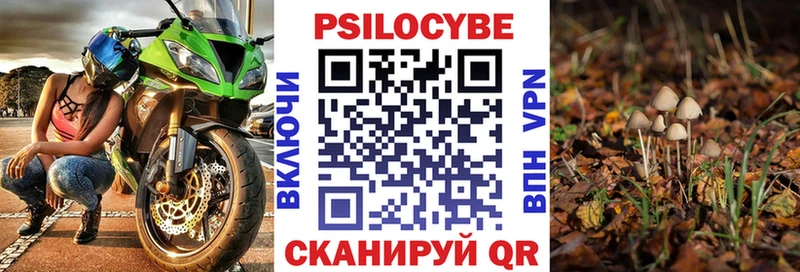 цены наркотик Судогда Псилоцибиновые грибы GOLDEN TEACHER